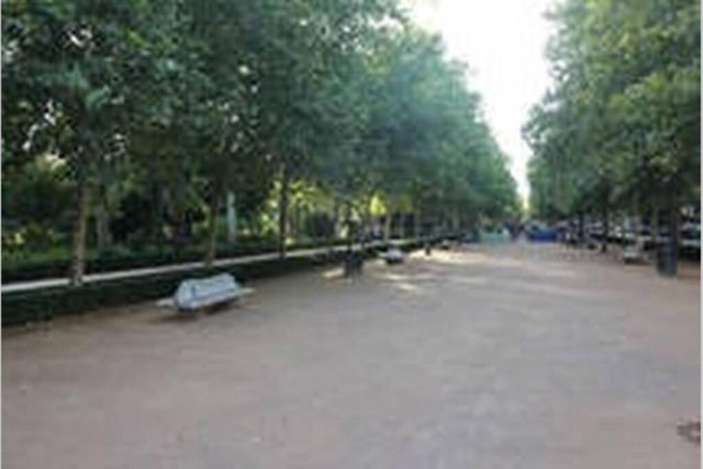 グラナダBonito Apartamento Junto A Paseo De La Bombaアパートメント エクステリア 写真